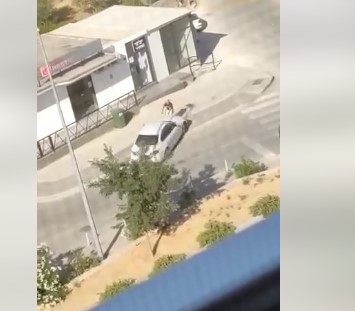 NESVAKIDAŠNJA DRAMA U SPLITU Stisnuo gas do daske i namjerno pregazio brata (VIDEO)