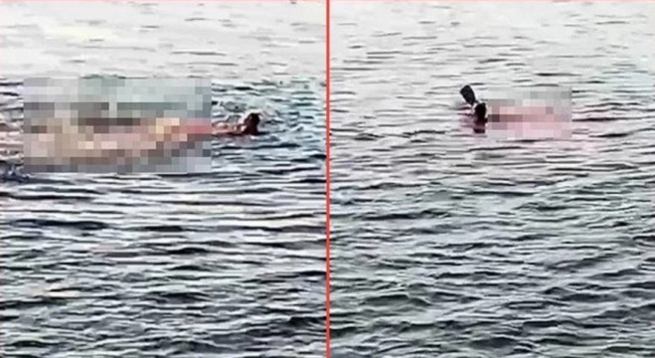 VELIKA MAPA UPOZORENJA ZA SVE TURISTE Evo gdje su sve primijećene opasne ajkule