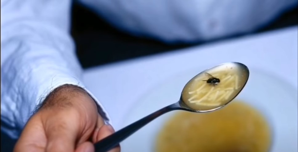 NIKADA IH VIŠE NEĆETE VIDJETI U KUĆI Pomoću samo jedne namirnice riješite se muva