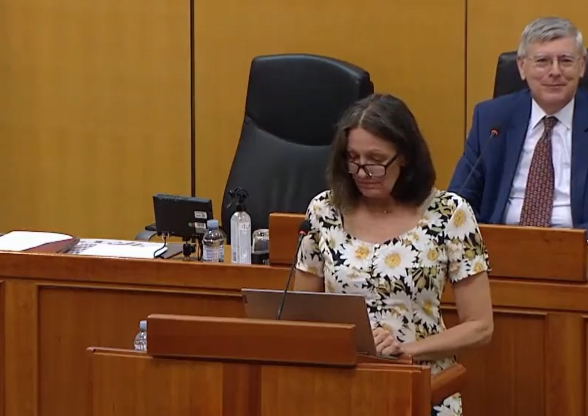 POSLANICA U HRVATSKOM SABORU POSTALA HIT NA MREŽAMA Htjela da se obrati parlamentu pa se "pogubila": "Zbunila sam se" (VIDEO)