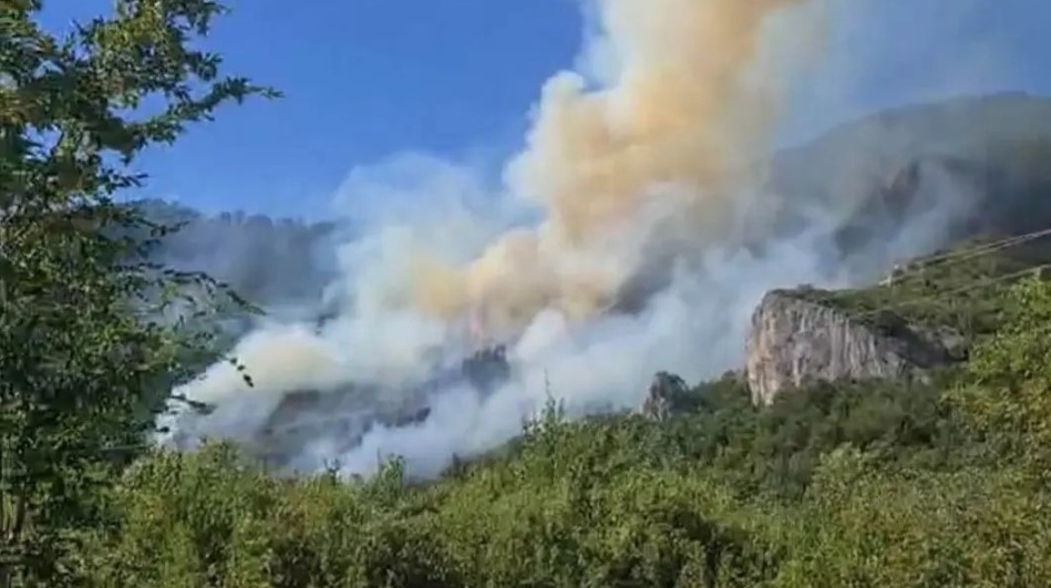 VATRA ZAHVATILA BOROVU ŠUMU Požar ogromnih razmjera izbio kod Boračkog jezera (FOTO)