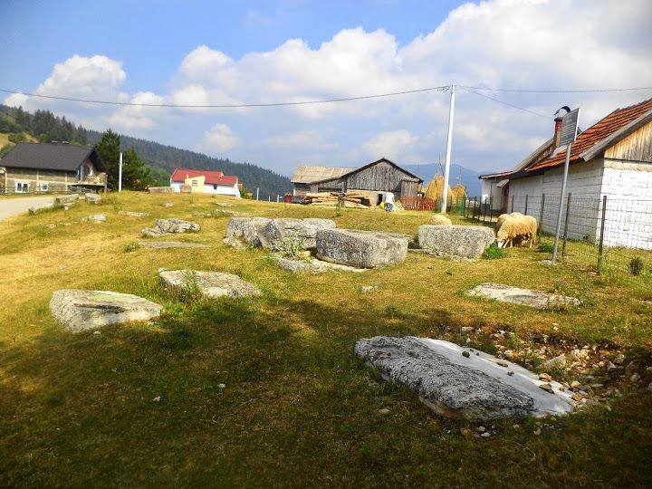 NEKROPOLE U KOKOŠINJCU Nacionalne spomenike stare u BiH "održavaju" krave, ovce i kokoši
