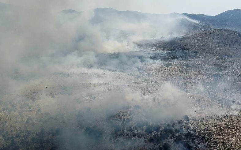 POŽAR U NEUMU ŠIRI SE NEKONTROLISANO Vatra ne ugrožava bezbjednost stanovništva ili objekata