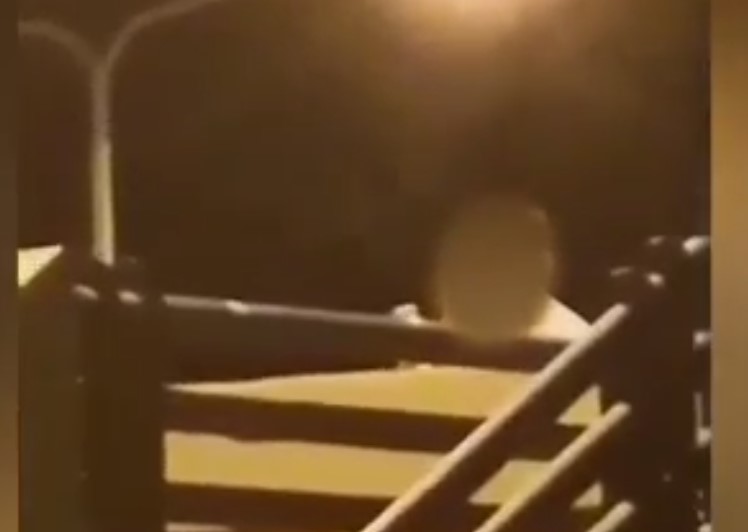 (EKSPLICITAN VIDEO) VRELA SE*S AKCIJA NA BANJALUČKOJ PASARELI Strast ponijela mladi ljubavni par, prolaznici im bili najmanji problem