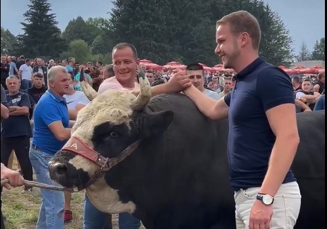 DRAŠKO STANIVUKOVIĆ NA KORIDI Gradonačelnik se uhvatio mikrofona, ali i rogova ovogodišnjeg favorita