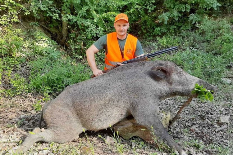 VEPAR MJESECIMA PRAVIO ŠTETU Odstrijelio zvijer tešku 150 kg
