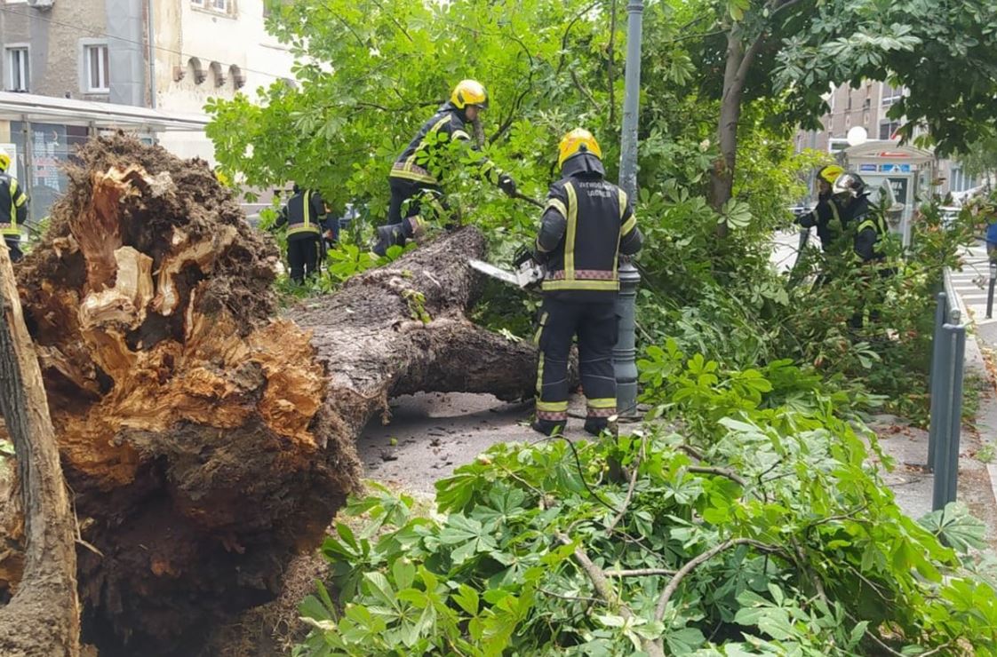 DRAMA U ZAGREBU Drvo palo na tramvajske šine i udarilo ženu: Izvlačili je vatrogasci, hitno prevezena u bolnicu