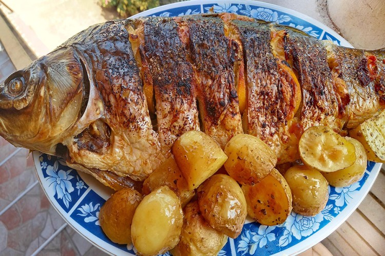 PRIJEDLOG ZA DANAŠNJI RUČAK Šaran za gurmane