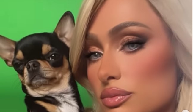 ARMIJA STRUČNJAKA U POTRAZI Paris Hilton nestao pas, angažovala detektive i vidovnjake