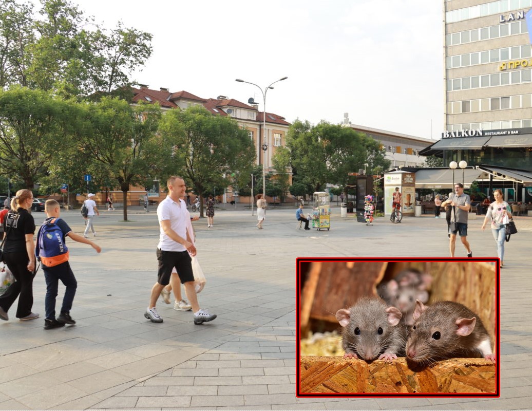 UPUĆEN APEL GRAĐANIMA Počinje jesenja deratizacija u Banjaluci