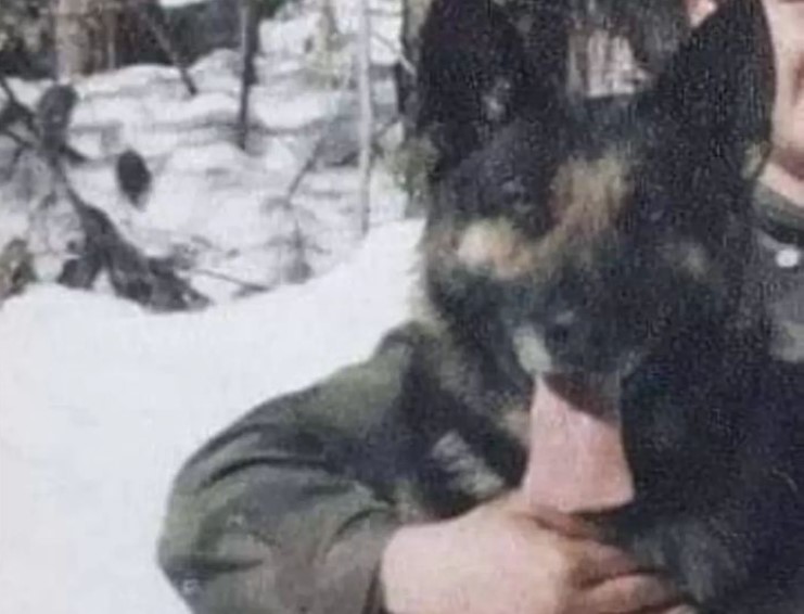 PAS CRNI HRABRO ČUVAO KOŠARE Prošao pakao na karauli sa vojnicima, ali kraj rata nije dočekao - njegove ubice dobile 4 godine robije