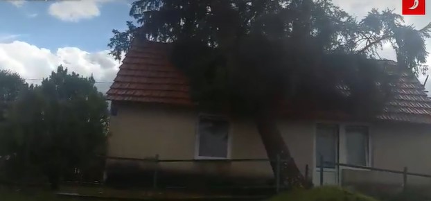 APOKALIPSA U HRVATSKOJ Zbog jakog nevremena palo stablo na djevojčicu, hitno prevezena u Zagreb (FOTO)
