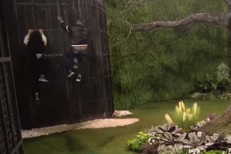 ZADRUGARI POKUŠALI POBJEĆI IZ ŠIMANOVACA Drama od ranog jutra - popeli se na ogradu, a onda se desilo ovo (VIDEO)