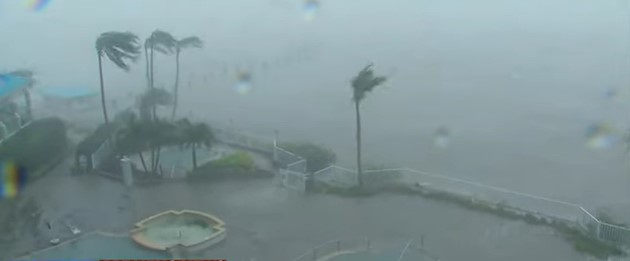 POSLJEDICE URAGANA Ajkule plivaju ulicama Floride (VIDEO)