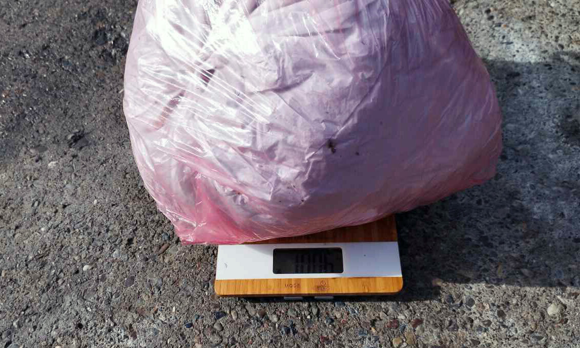AKCIJA "HERBA" URODILA PLODOM Oduzeto više od kilogram skanka, uhapšena četvorka