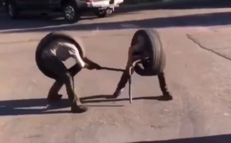 KOMENTAR OSTAVIO I OGNJEN AMIDŽIĆ Muškarci se zavukli u gume, pa dohvatili palice: Tvit koji će prokomentarisati većina žena (VIDEO)