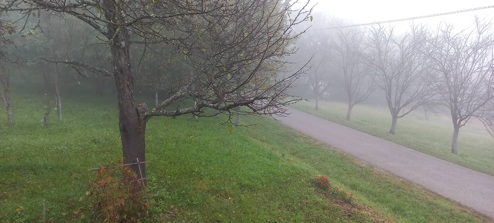 VREMENSKA PROGNOZA ZA DANAS Zahlađenje donosi snijeg