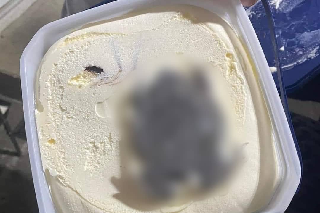 OTVORILA SLADOLED, PA PRONAŠLA ŽABU Bizaran slučaj natjerao građane BiH na povraćanje (FOTO)