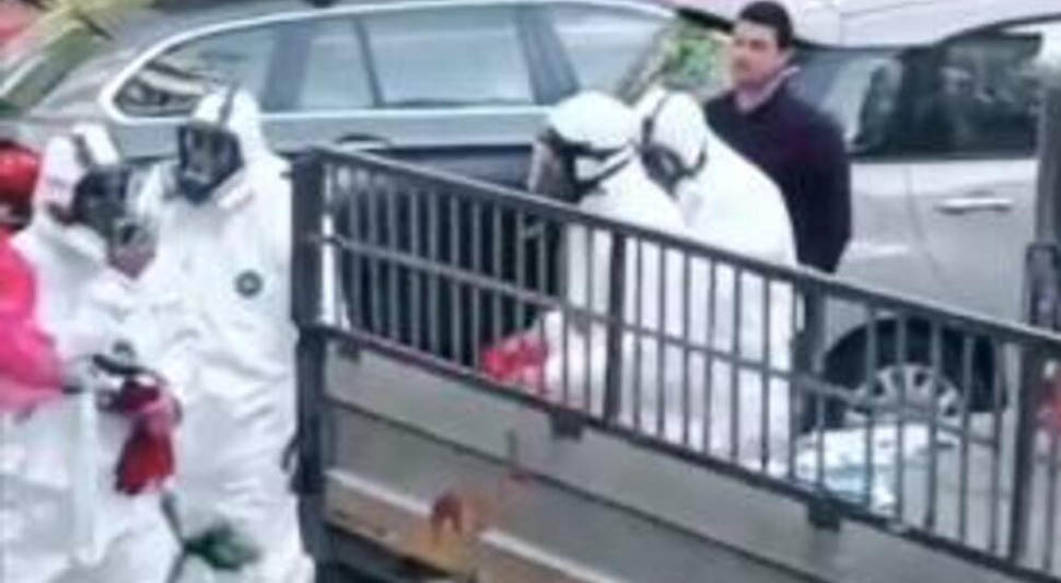 UZNEMIRUJUĆI PRIZORI IZ NOVOG SADA Stanari žive u agoniji nakon pronalaska leša: "Zgrada ostala ulijepljena, smrdljiva!" (FOTO/VIDEO)