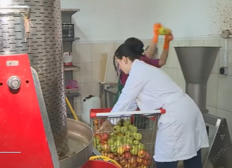 DA LI SPREMATE ZIMNICU? Pogledajte kako to rade učenici Poljoprivredne škole u Banjaluci (VIDEO)