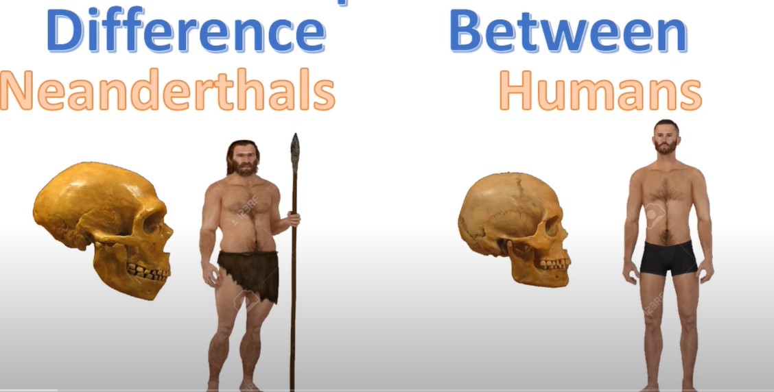 Dobitnik Nobelove nagrade za medicinu: Svako od nas ima 1-2 odsto neandertalca u sebi