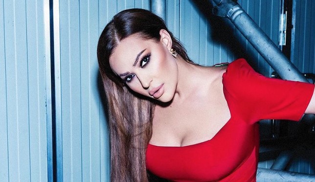 CECA HITNO POSLALA PORUKU ZADRUZI Muk u studiju; Jakovljevićeva reagovala