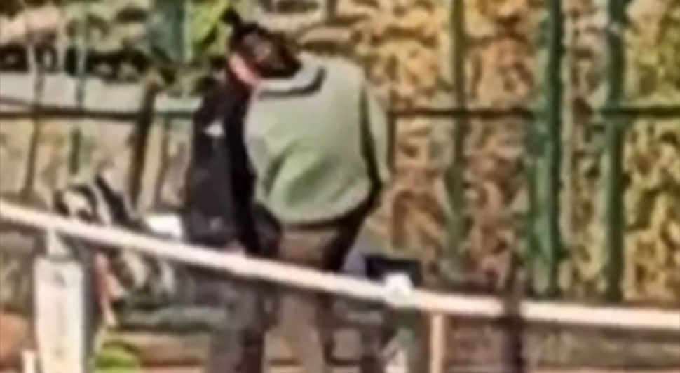 NOVI SNIMAK NASILJA POTRESA REGION Otac krvnički udara kćerku, video objavio Igor Jurić