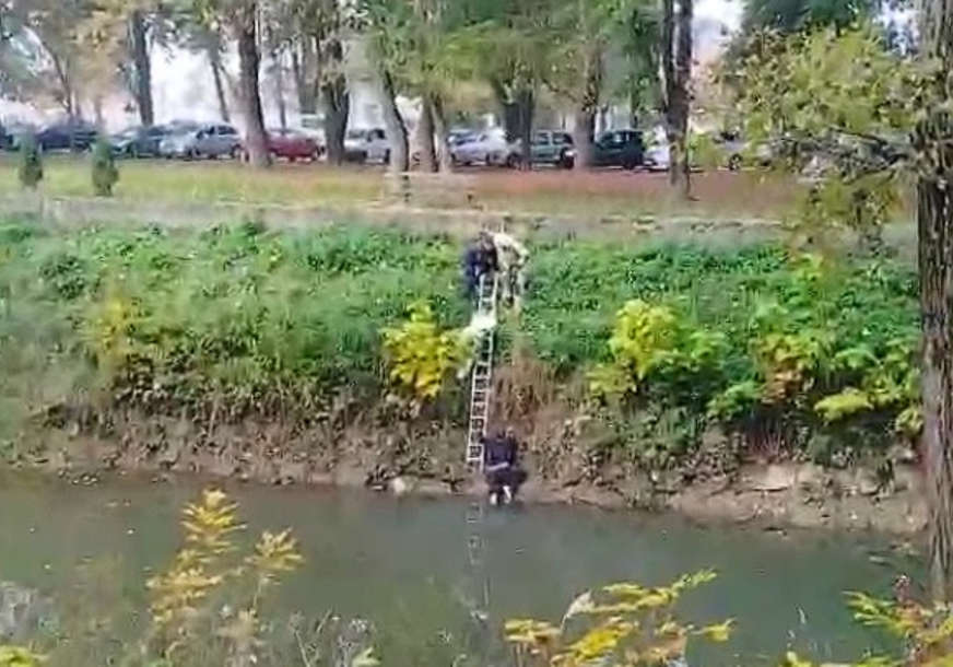 POŽRTVOVANOST PRIJEDORSKIH VATROGASACA Iz rijeke izvukli i spasli čovjeka (VIDEO)