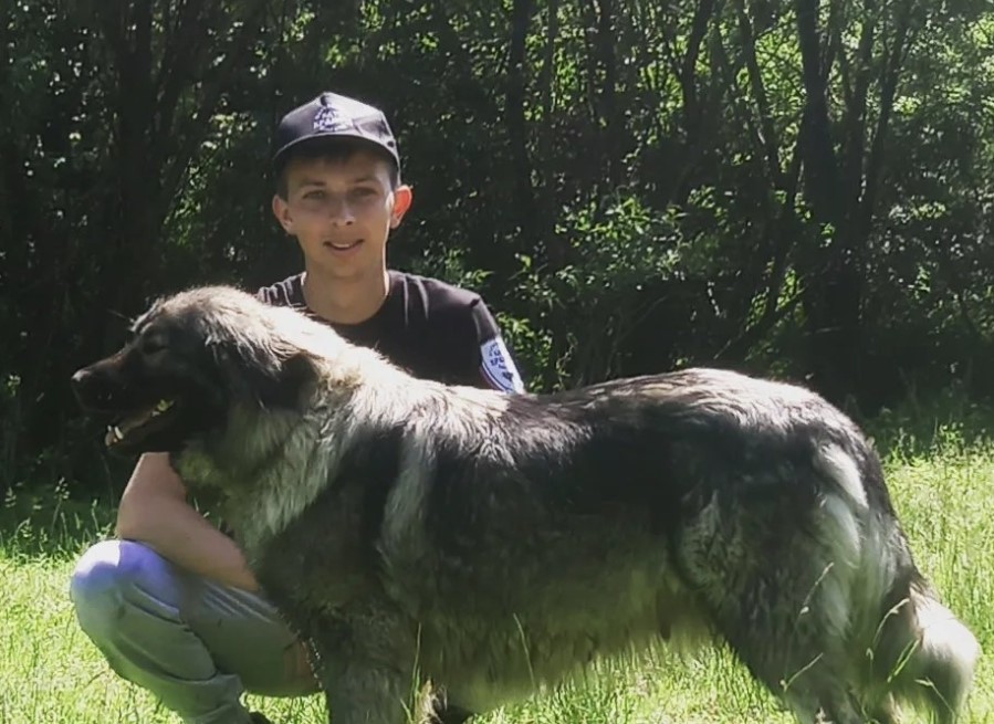 USTAJE U PET UJUTRU! Nemanja Savić (21) iz Jezera studira i bavi se ovčarstvom: Putuje satima da pomogne roditeljima
