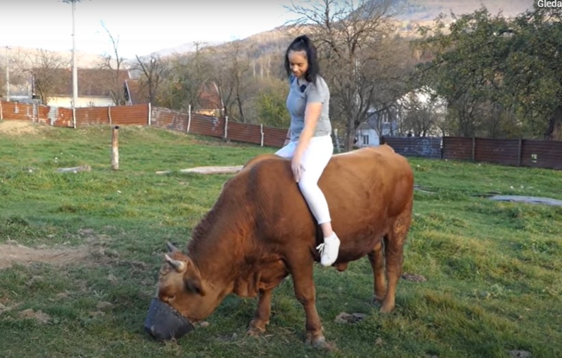 DJEVOJKA IZ BUGOJNA ODUŠEVILA BiH Emina je najmlađa vlasnica i trener bikova u BiH (VIDEO)