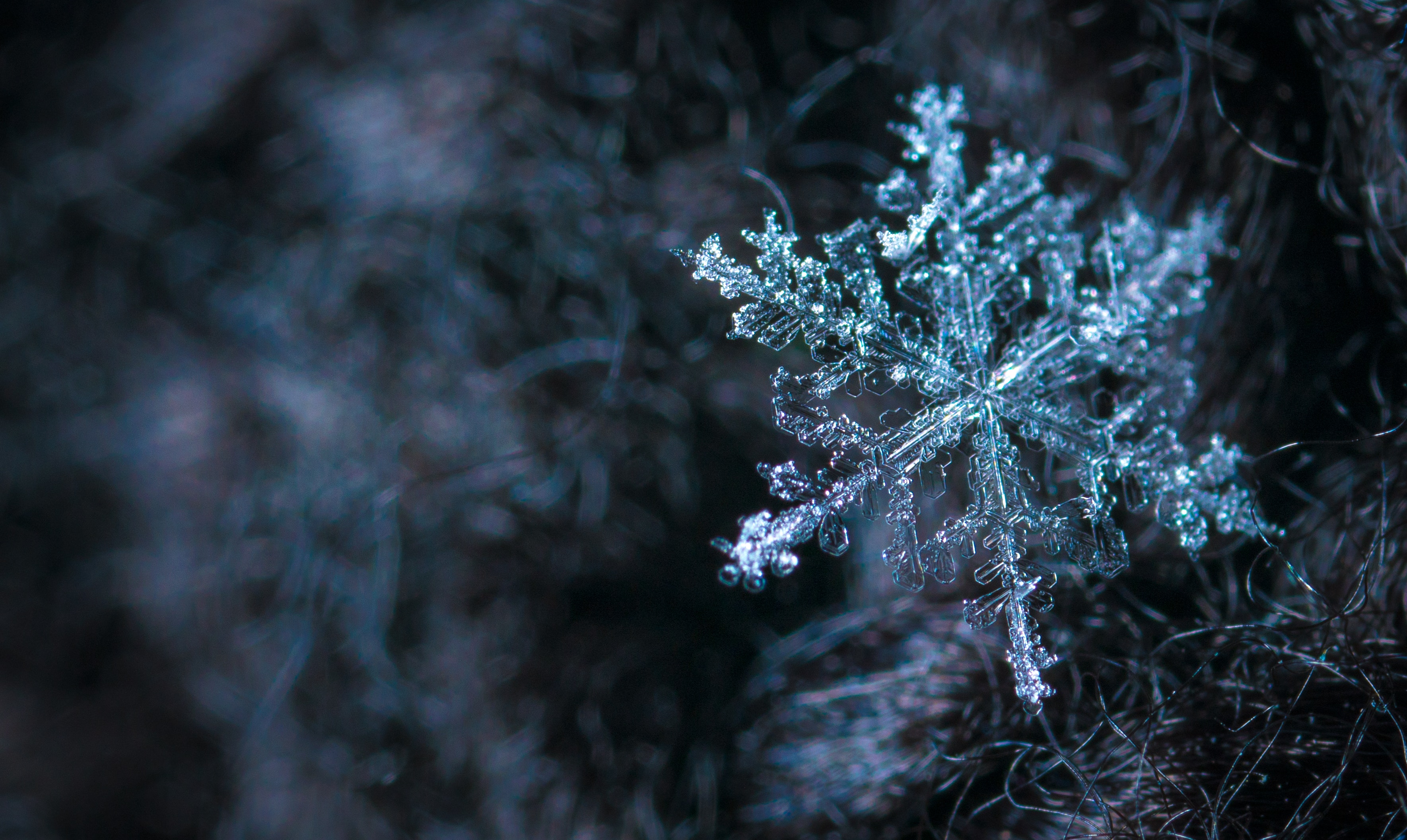 STIGLA NOVA PROGNOZA Evo kakvo nas vrijeme očekuje do kraja decembra