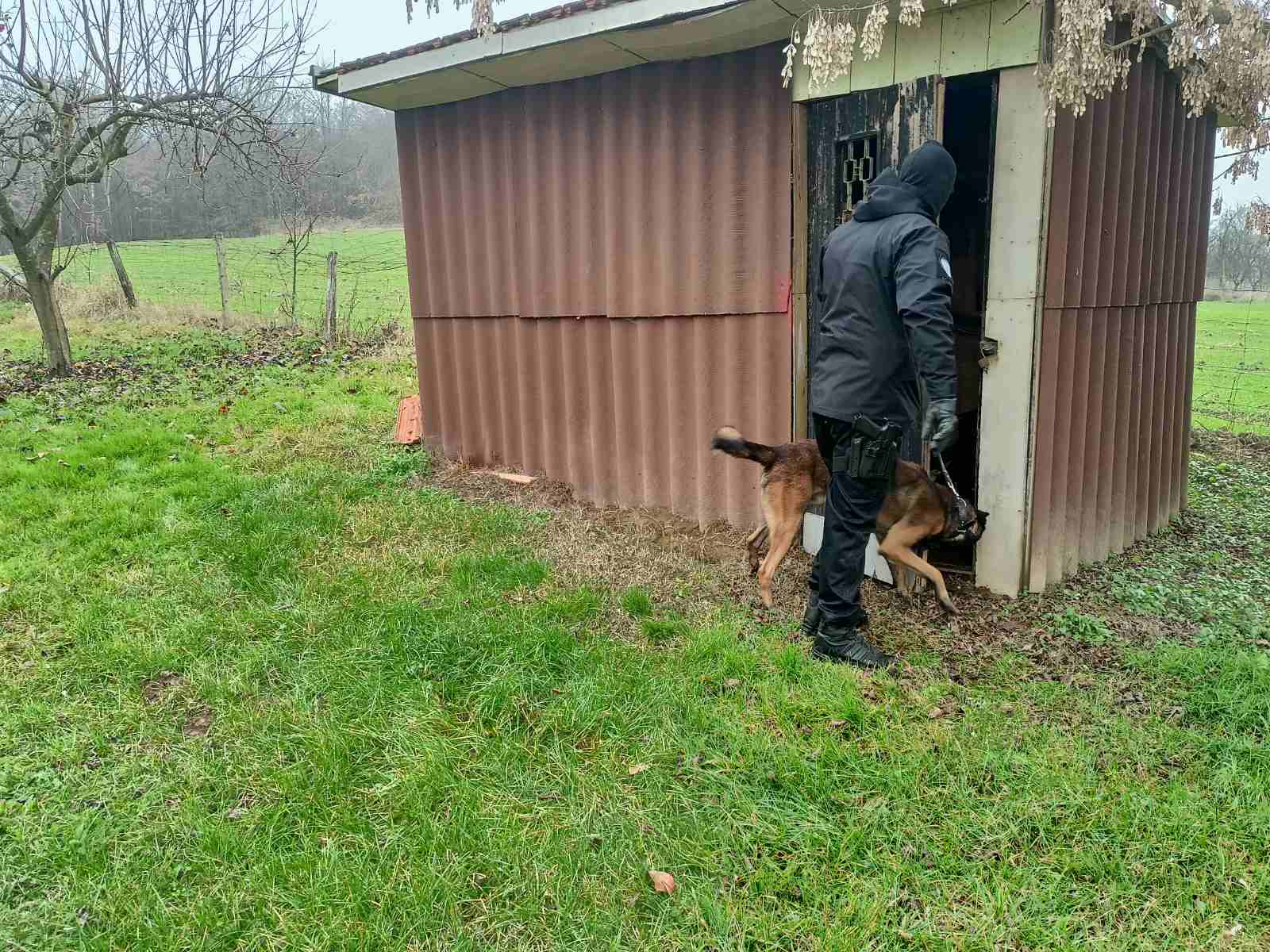 NAJNOVIJI DETALJI AKCIJE "FJUDŽITIV" Evo ko su uhapšeni, zaplijenjeni narkotici i novac (FOTO)