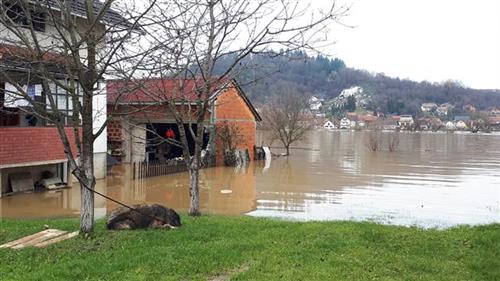 VODA I DO JEDAN METAR Poplavljeno šest kuća u Kostajnici, vodostaj Une raste