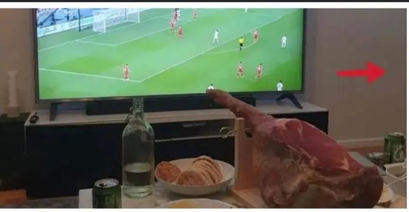 ZBOG "ORLOVA" RAZBIO TV PRŠUTOM Bijesnom navijaču Srbije skočio pritisak nakon utakmice sa Švajcarskom (FOTO)