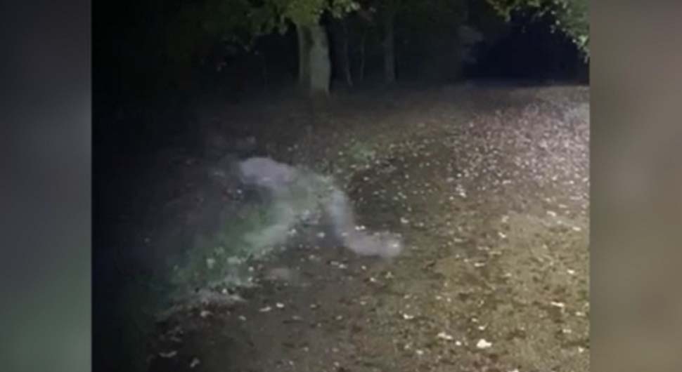 "UPRAVO SAM VIDJELA DUHA" Šetali psa i vidjeli demonsku figuru kako puzi preko staze seoskog parka (VIDEO)