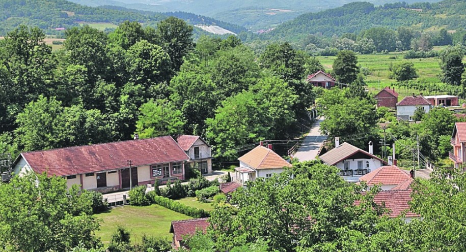 NEVJEROVATNO! Domaćin Slaviša ostao u čudu kad je vidio svoju baštu usred decembra, a evo i zbog čega