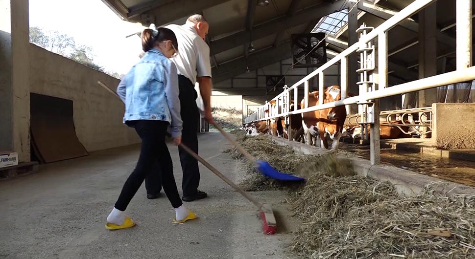 FAMILIJA MLJEKARA KOJA ČUVA TRADICIJU Ćudići izgradili jednu od najsavremenijih farmi u Srpskoj