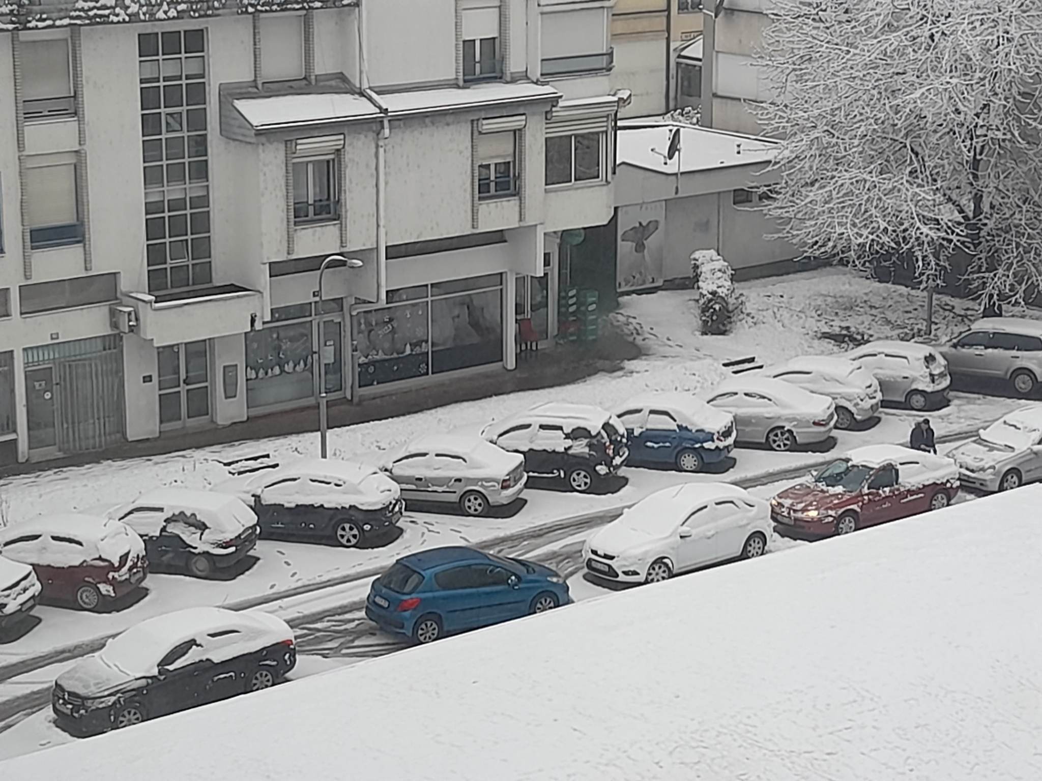 SAVJETI KOJI ĆE VAM OLAKŠATI ŽIVOT Kako očistiti zaleđeni automobil?