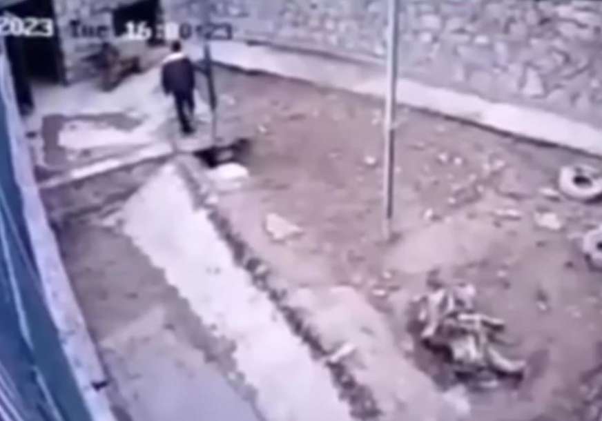 (UZNEMIRUJUĆI VIDEO) MRKI MEDVJED RASTRGAO RADNIKA Kolege nisu mogle da savladaju zvijer
