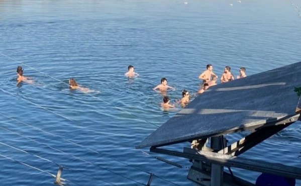 NA ADU CIGANLIJU USRED JANUARA Beograđani na kupanju drugog dana Božića (VIDEO)