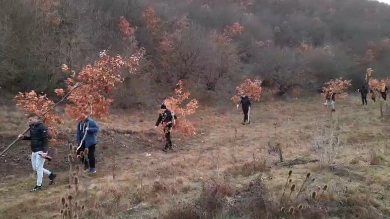 "BEZ TRADICIJE NE BISMO BILI TO ŠTO JESMO" Srbi sa Kosmeta zajedno pošli u sječu badnjaka