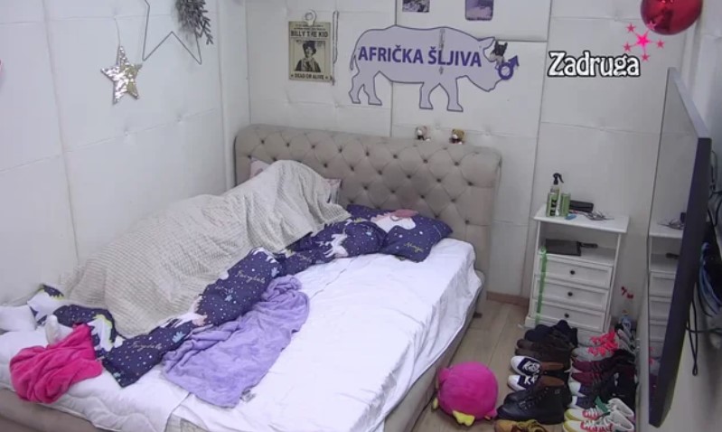 POKAZALA ŠTA ZNA! Car legao da spava, vragolanka Maja mu nije dala mira: Spustila se niže, on se nije bunio (VIDEO 18+)