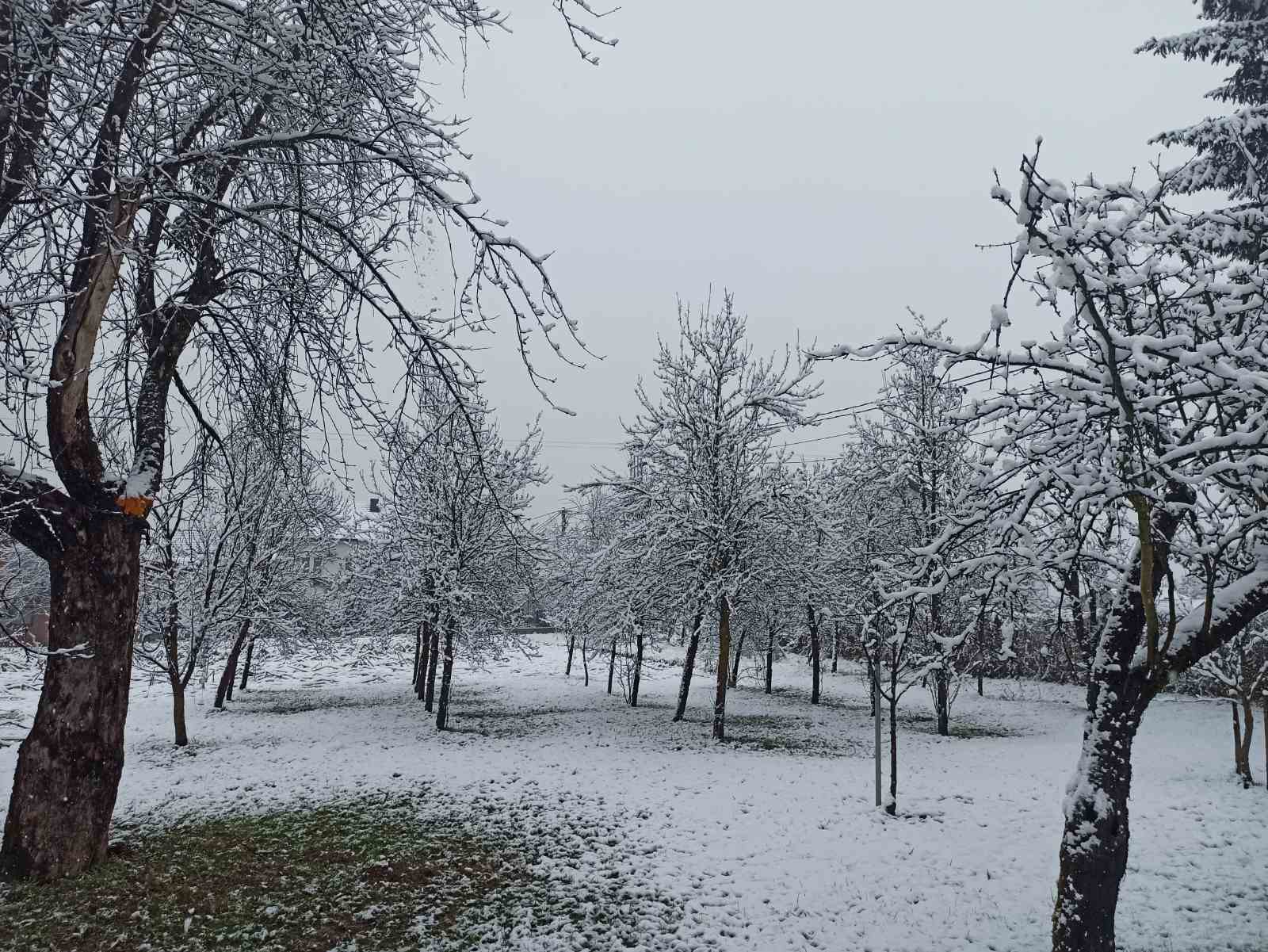 JOŠ JEDNA MUKA GRAĐANIMA Snijeg paralizovao Dubicu, bez struje nekoliko naselja