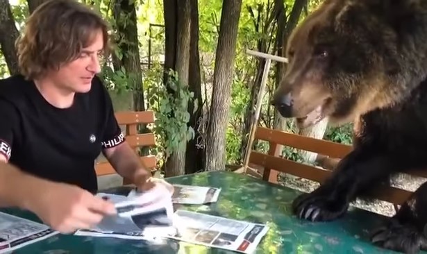 LETJEĆE PERJE! ŽELJKO MITROVIĆ POSLUŠAO „MEĐEDA“: Zvezdanova supruga ulazi u Zadrugu! (VIDEO)