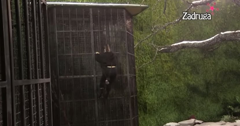 HAOS U ZADRUZI! Nakon što ju Zvezdan ostavio i prevario sa Aleks, Anđela doživjela nervni slom i pokušala da pobegne (VIDEO)