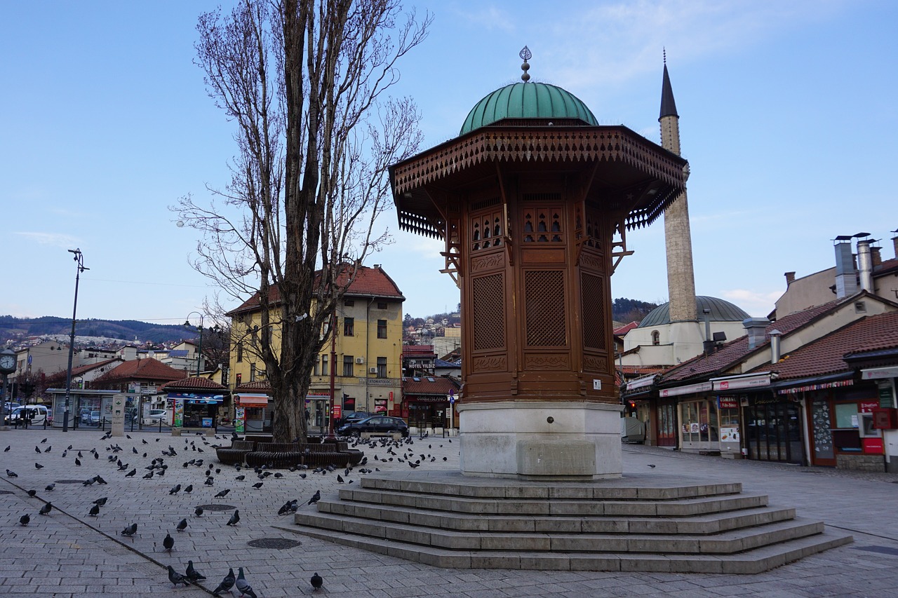 EPILOG INCIDENATA U SARAJEVU Bušio gume na vozilima iz Srbije pa smješten na psihijatriju