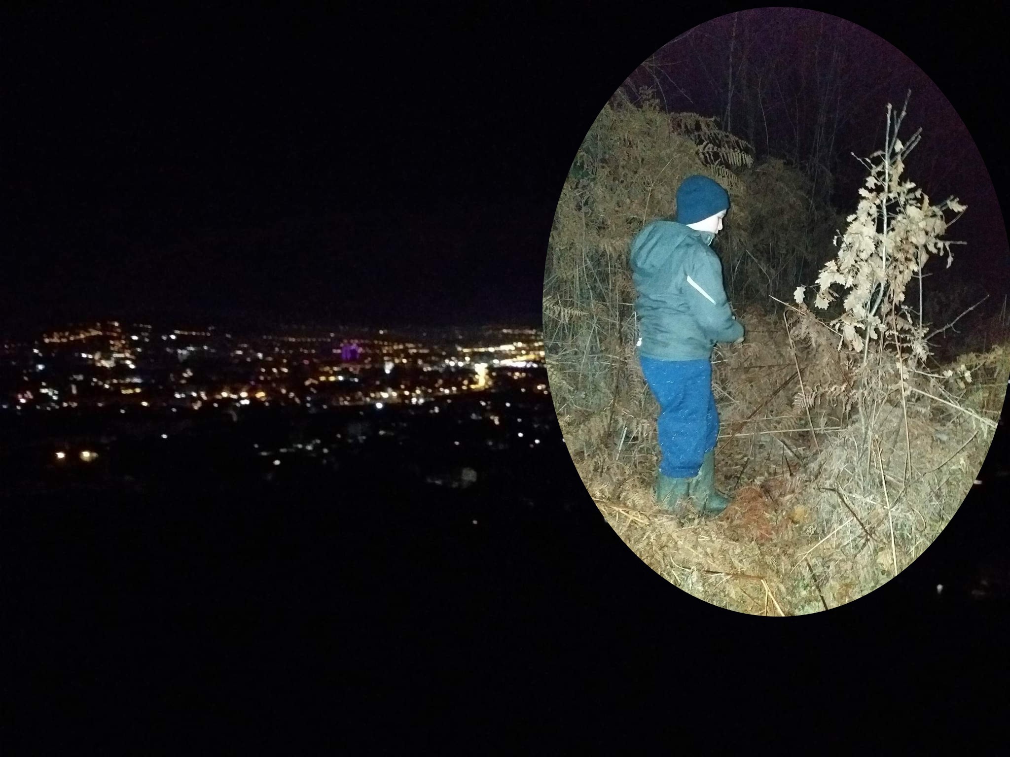 U SUSRET BOŽIĆU! Mještani Starčevice se okupili i prije svitanja otišli na Ponir: Mlađi stasali da usjeku badnjak sa očevima i njeguju tradiciju predaka (FOTO)