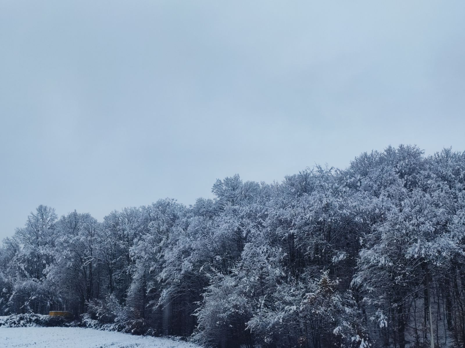 Zima promijenila planove: Pogledajte kakvo nas vrijeme očekuje narednih dana