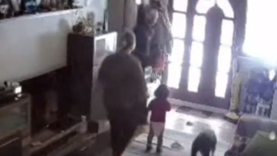 ŽIVOTINJA SVE PREDOSJETILA Žena iz Niša: "Moj konj je iz čista mira počeo da skače i urla, minut nakon toga je počelo da se trese" (VIDEO)