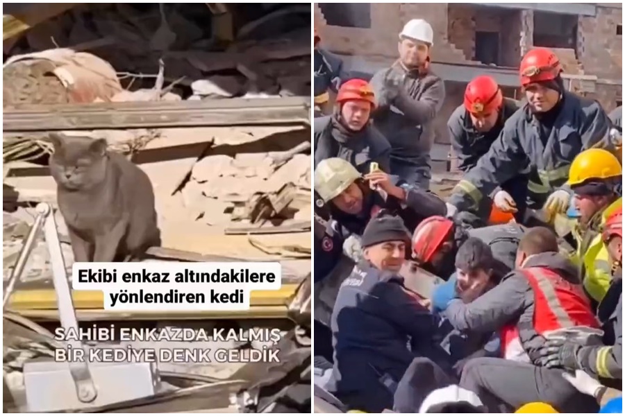 NEVJEROVATNA VEZA ŽIVOTINJE I ČOVJEKA! Mačak odveo spasioce do zatrpane majke i njene djece (VIDEO)